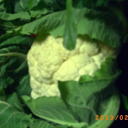 גנג'י Agriturismo San Pietro מראה חיצוני תמונה