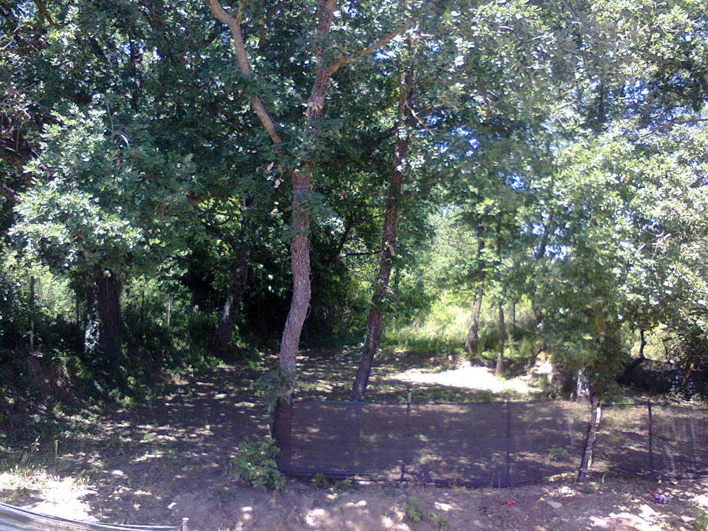 גנג'י Agriturismo San Pietro מראה חיצוני תמונה