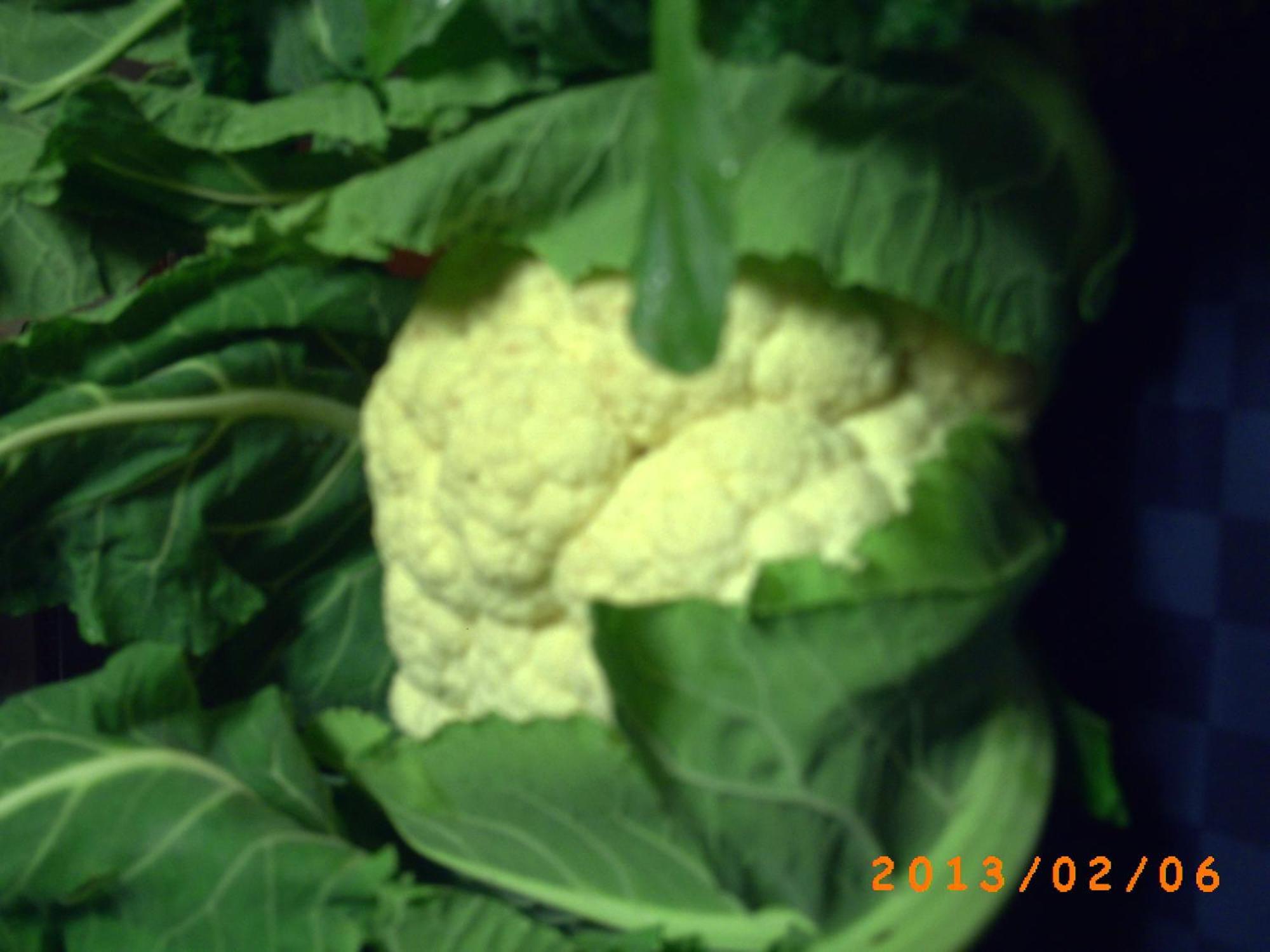 גנג'י Agriturismo San Pietro מראה חיצוני תמונה