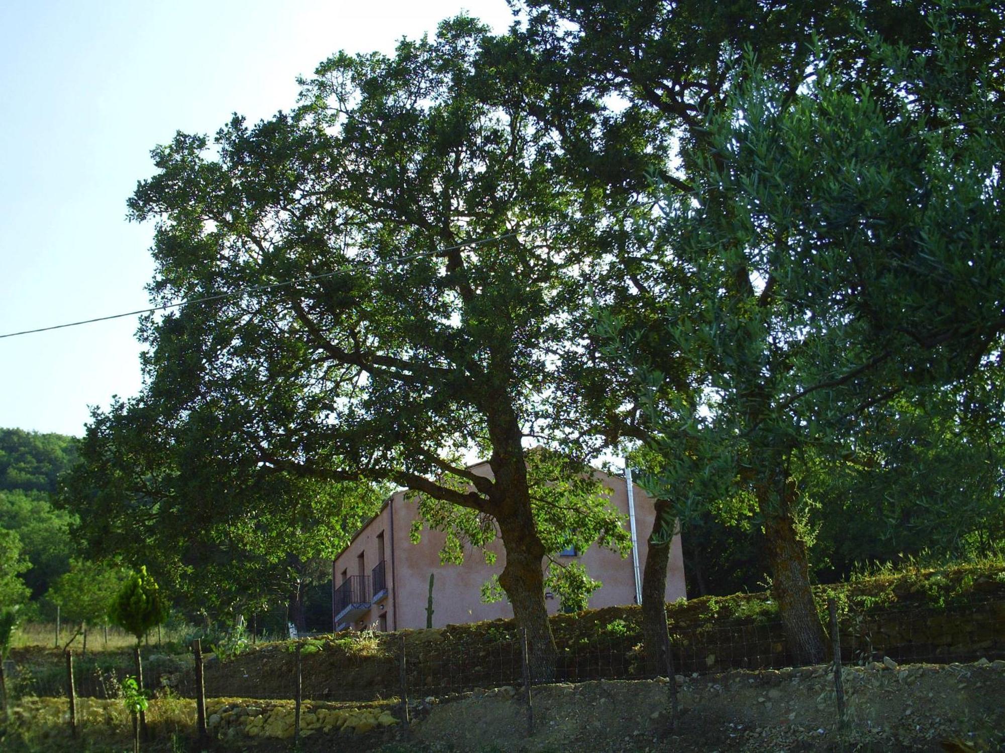 גנג'י Agriturismo San Pietro מראה חיצוני תמונה