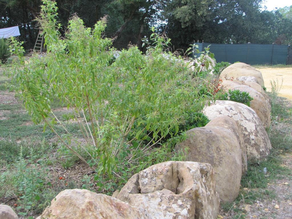 גנג'י Agriturismo San Pietro מראה חיצוני תמונה