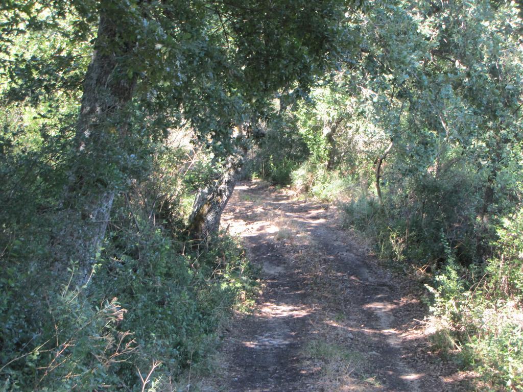גנג'י Agriturismo San Pietro מראה חיצוני תמונה