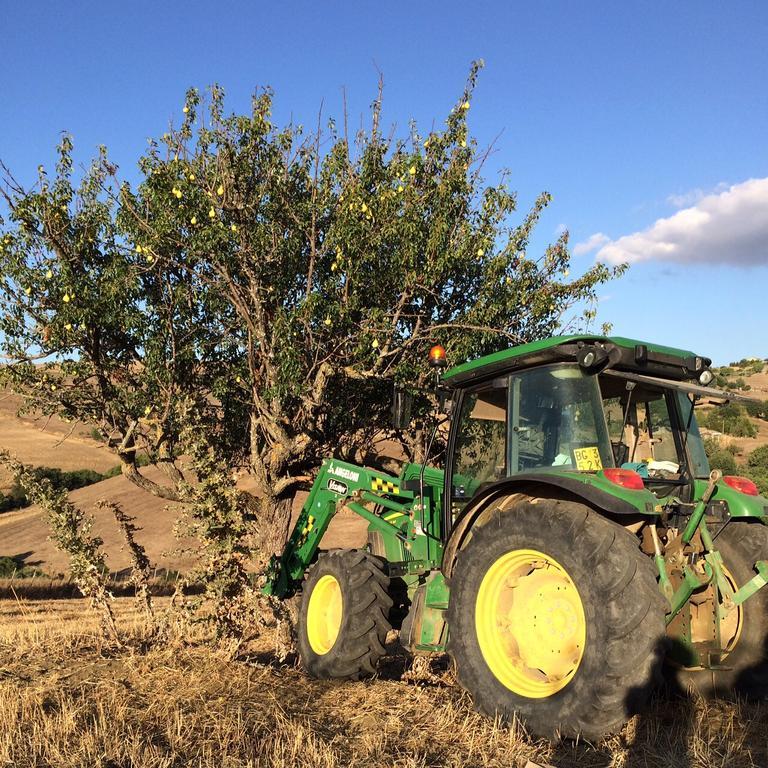 גנג'י Agriturismo San Pietro מראה חיצוני תמונה