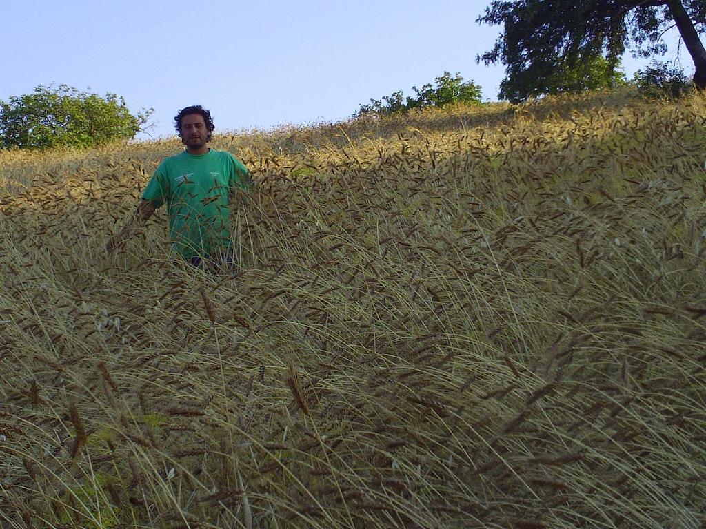 גנג'י Agriturismo San Pietro מראה חיצוני תמונה