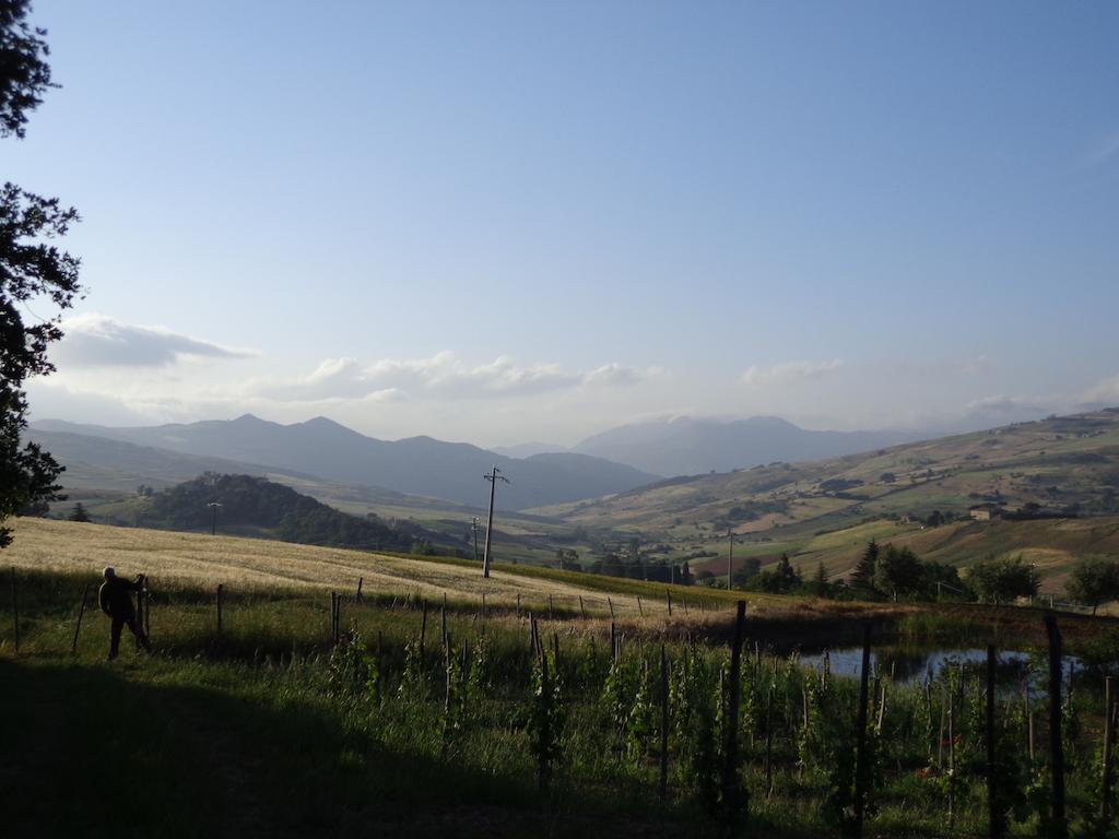 גנג'י Agriturismo San Pietro מראה חיצוני תמונה