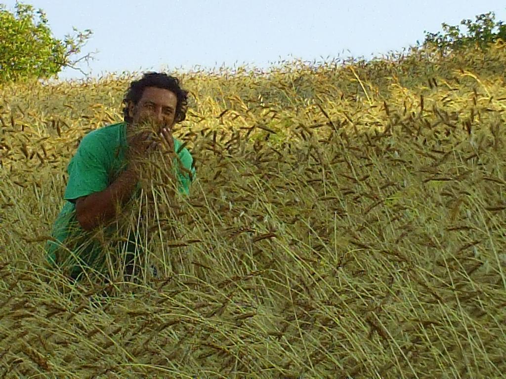 גנג'י Agriturismo San Pietro מראה חיצוני תמונה