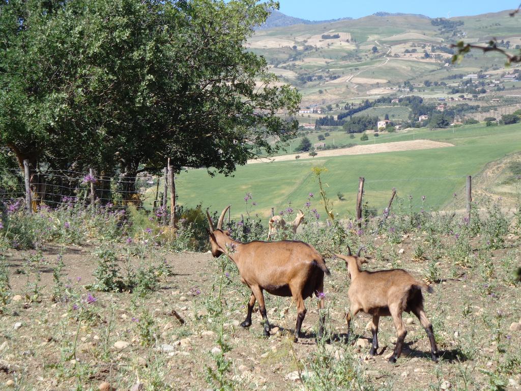 גנג'י Agriturismo San Pietro מראה חיצוני תמונה